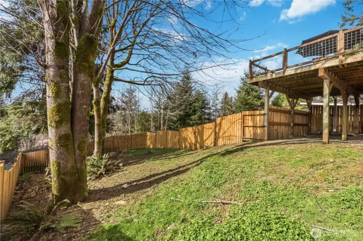 Dog (approx. 2000 sq ft.) run continues under back porch, gate to the patio & has a doggie door to the utility room.