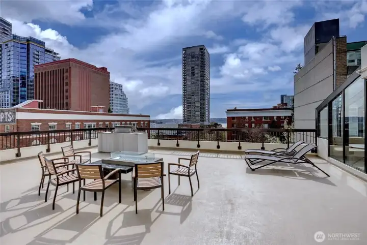 Outdoor BBQ area and firepit