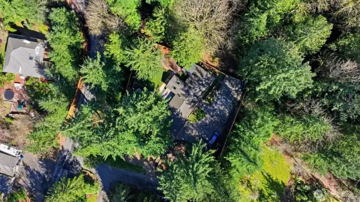 This aerial view of the property demonstrates the complete privacy that the .7 acre lot enjoys.