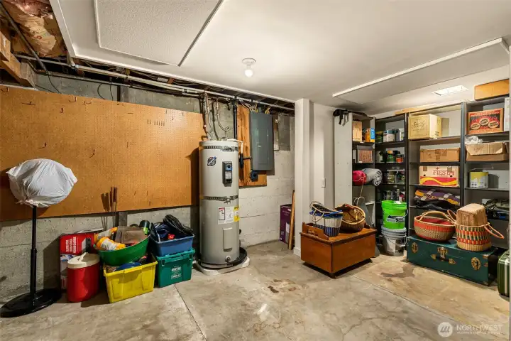 Basement storage room