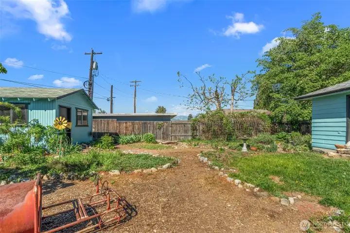 Expansive backyard