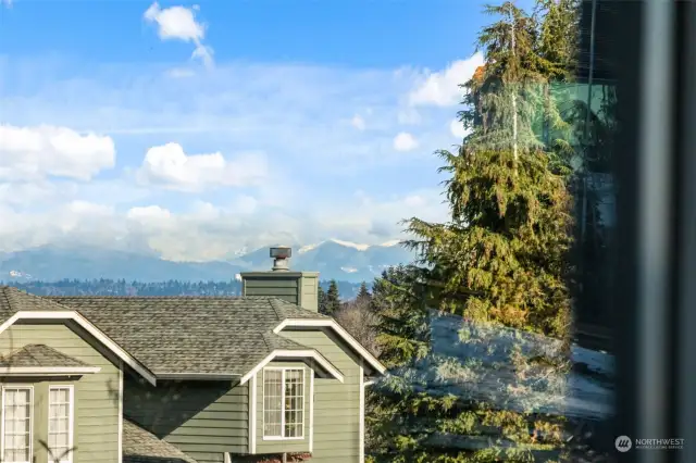 Peek-a-boo view of Olympic Mountains looking North.