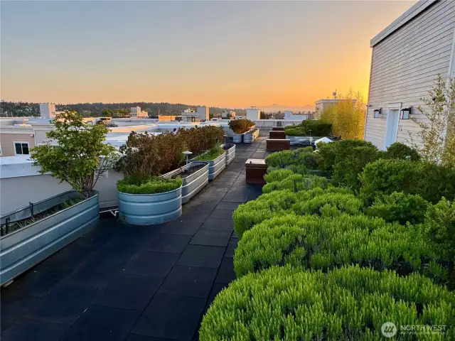 Well-kept rooftop for alfresco evening meetups