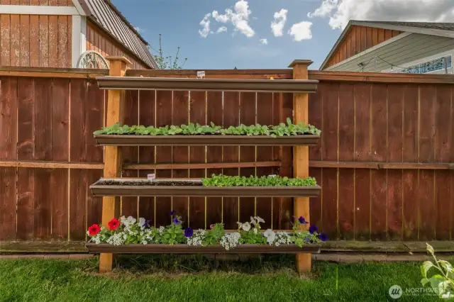 Salad Bar