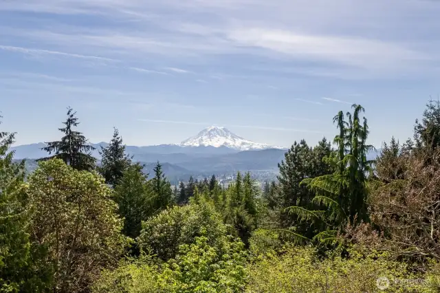 Stunning Mount Rainier views!!