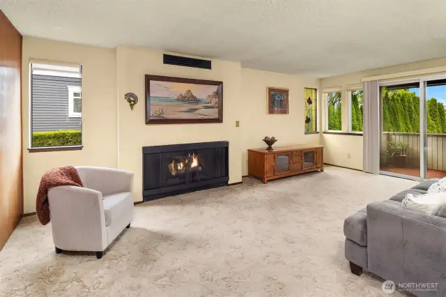 Gas fireplace with door to the covered deck