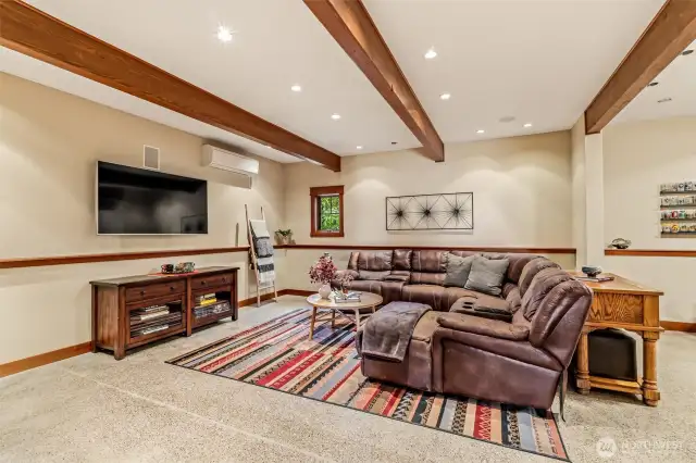 Lower Level Family Room