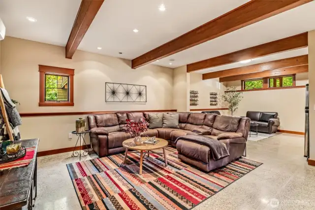Lower Level Family Room