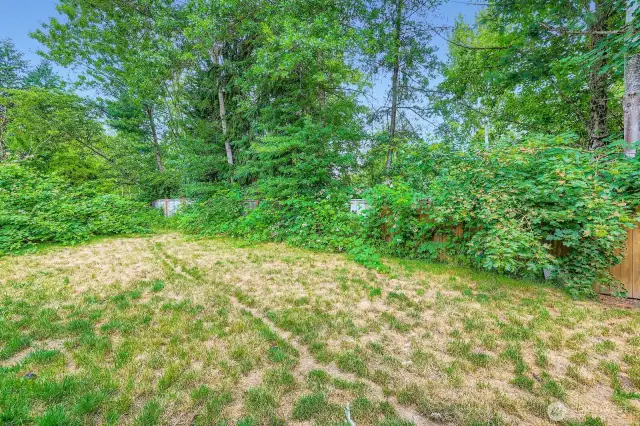 Backyard - greenbelt