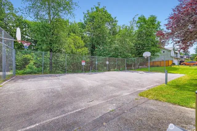 Community sports court