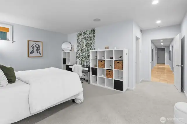basement level guest guest bedroom in basement with walk in closet