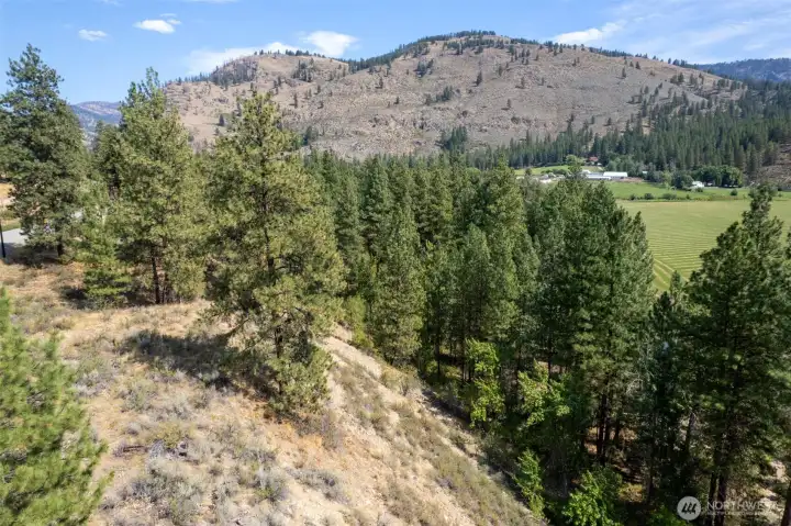 Level building site overlooking the majestic ponderosa pine trees and river below.