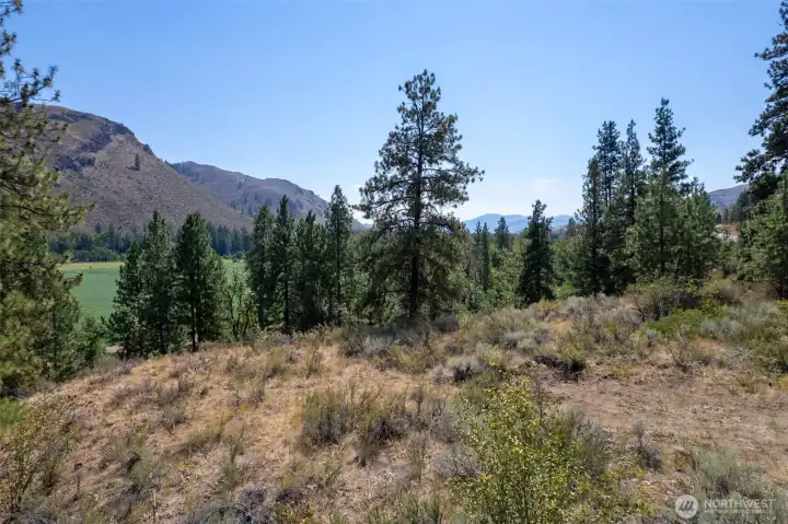 South facing vista will allow for plenty of sunshine.