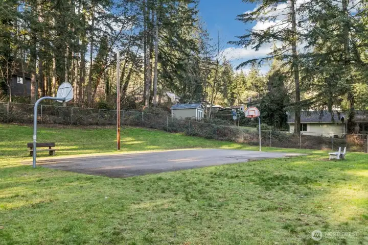 Another view of the park showing the basketball court.