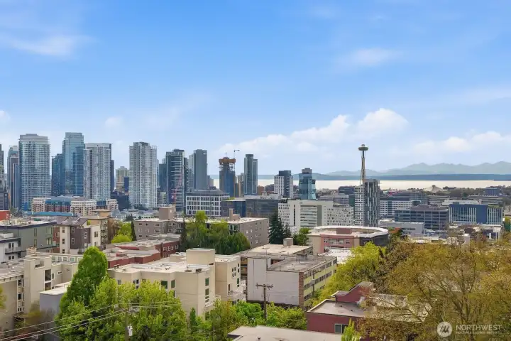 Sweeping vistas of the downtown skyline, the Space Needle, Lake Union, Elliott Bay, and the Olympic Mountains beyond - all from the comfort of home.