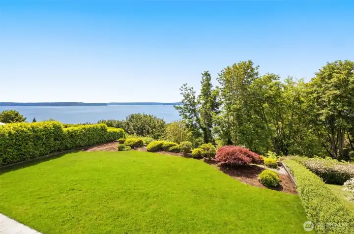 expansive back yard