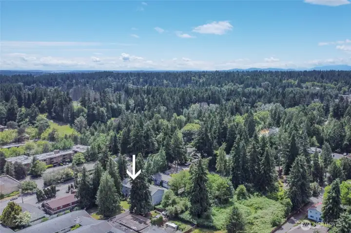 Less than 1 mile to Light Rail & Transit Less than 1 mile to Light Rail & Transit