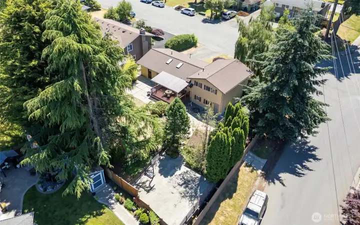 Juanita Drive has been improved adding sidewalks and bike lanes from Bothell Way to Kirkland.  Lower speed limit enforced by cameras to allow easy and safe access to the Burke Gillman trail & Log Boom Park.