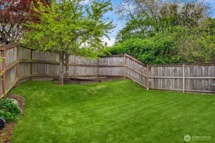 The 6,050sqft lot has so much room to roam for outdoor games, furry pals or an evening of relaxation. This amazing lot also has several fruit trees, including fig, persimmon, plum & blueberries bushes.