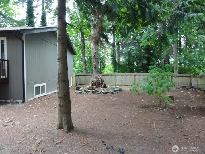 Back yard. Back yard.
