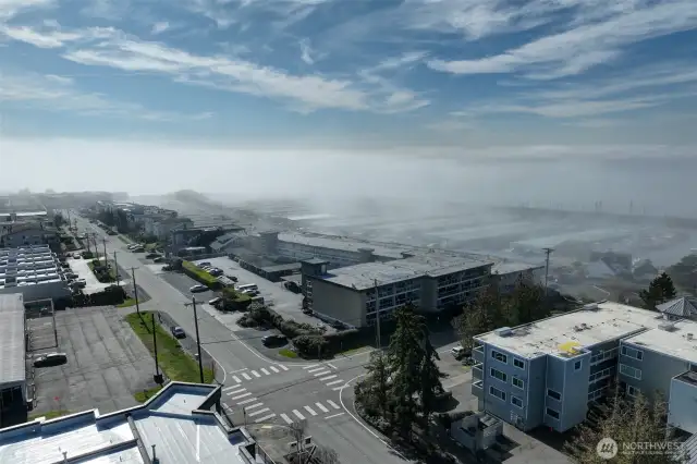 Fog lifting over the Marina and southern views of Poverty Bay