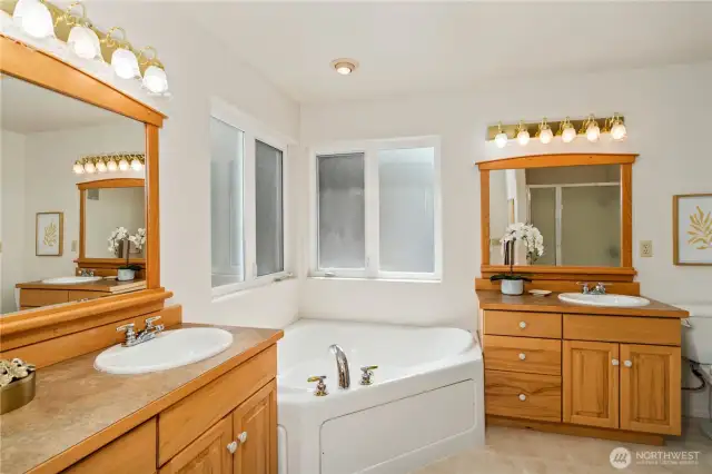 The 5-piece en-suite bath, complete with a jetted tub!