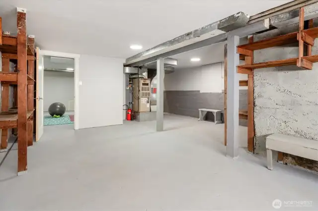 Finished and insulated garage with plenty of storages and 220v outlet for EV charging