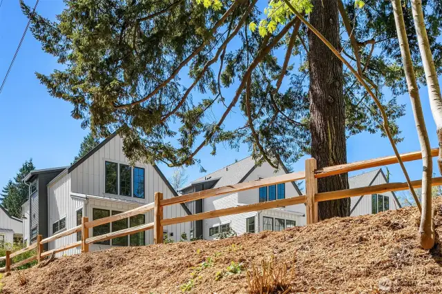 Thornton Creek Commons enjoys many heritage trees that were retained on the nearly 2 1/2 acre property.