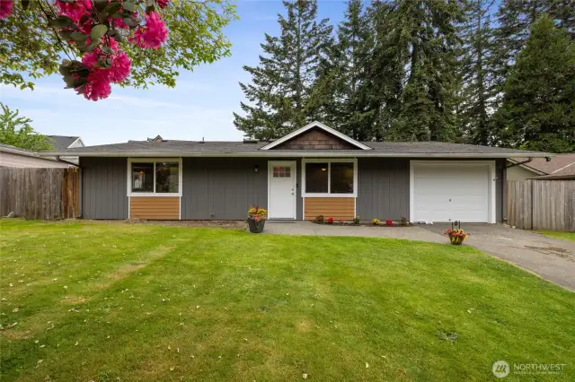 Front facade & front yard
