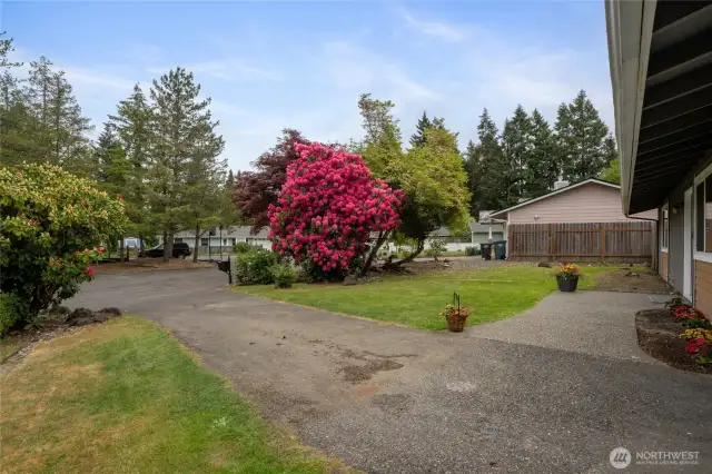 Driveway parking
