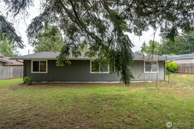 Spacious Backyard