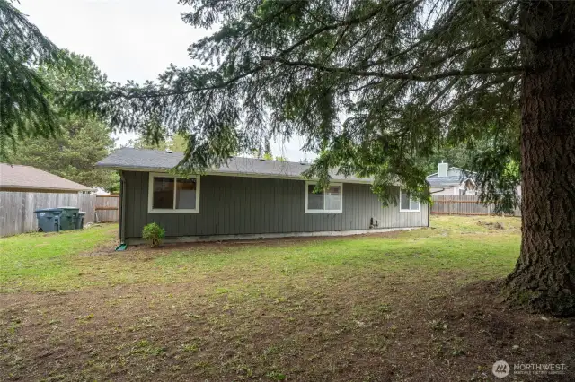 Large Backyard