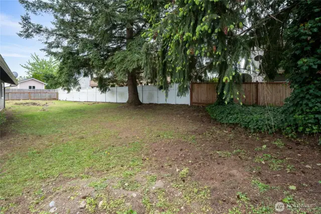 Large Backyard