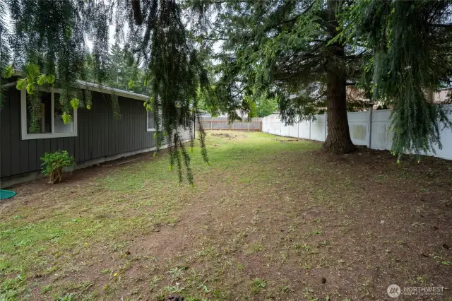 Large Backyard