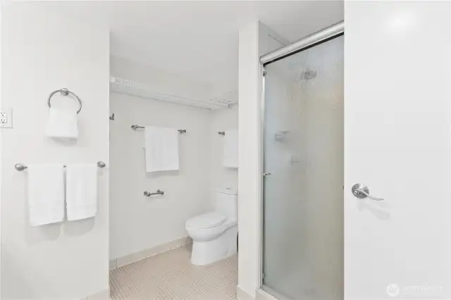 Master Bathroom 02