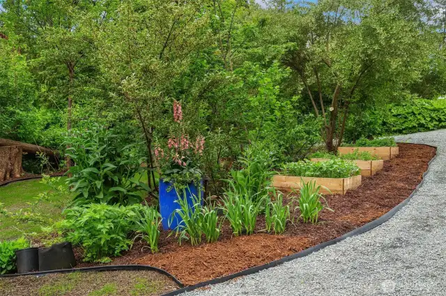 Countless medicinal herbs and edibles planted throughout the yard for your enjoyment