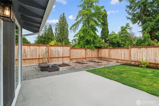 Newly fenced back yard