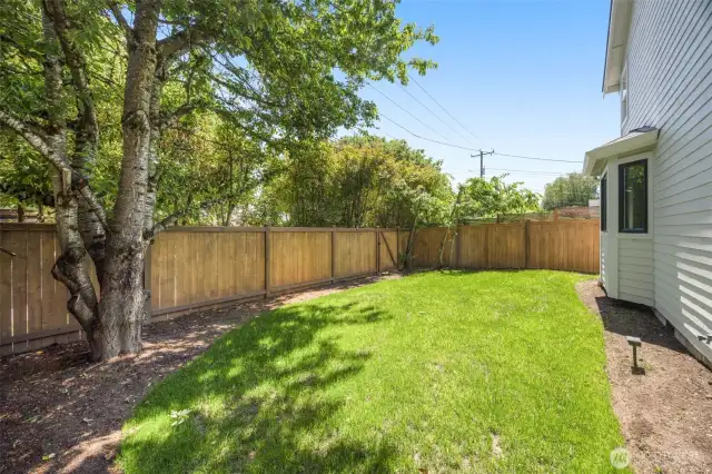 Spacious yard: fully fenced and reseeded