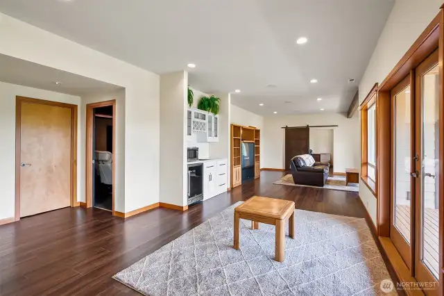 Lower level Living room