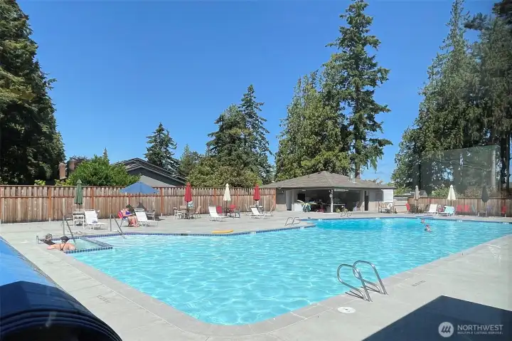 Community Pool