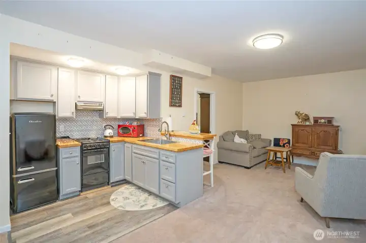 Lower level MIL space equipped with a small kitchen, living area, bedroom and bath.