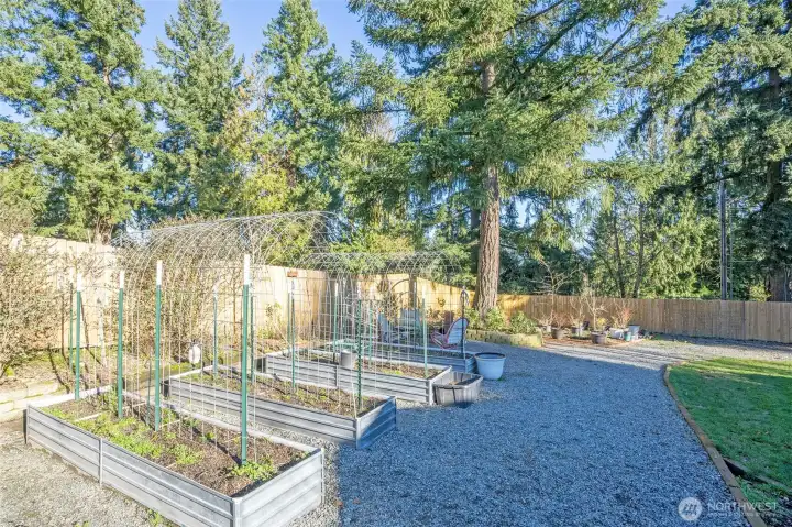 Extra raised garden beds, perfect for cultivating your garden.