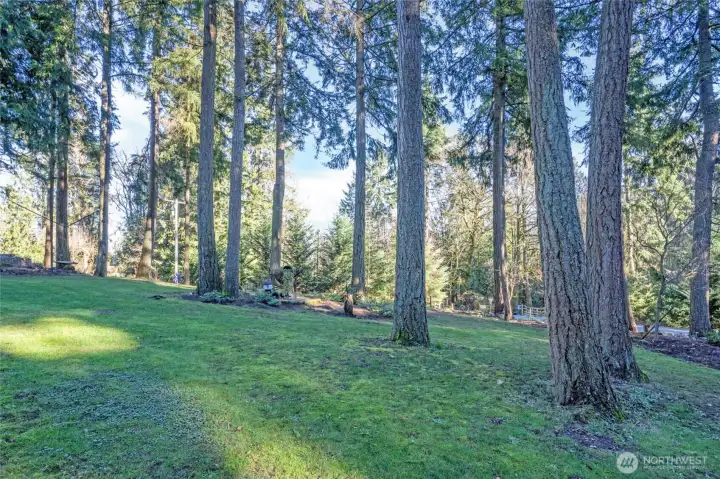 Your own private oasis awaits!