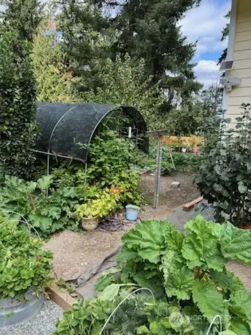 Enjoy the harvest you can grow and preserve with home canning.
