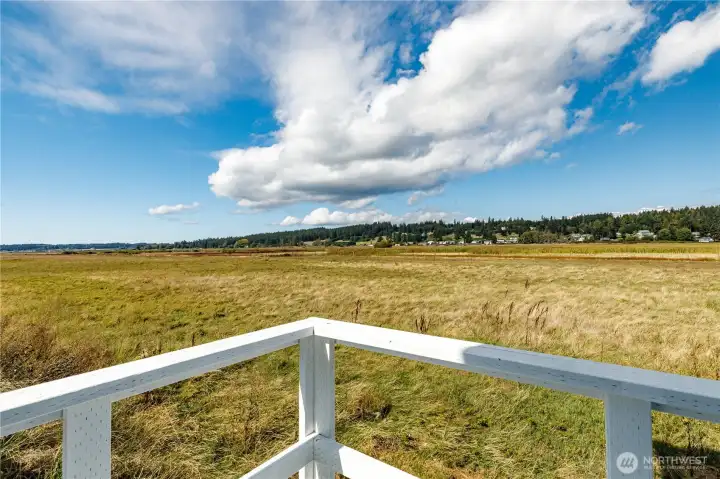 Looking out the back of the Cottage across the fields