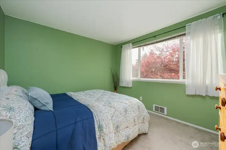 Main room over looks the stunning back yard.  Big window lets in the view of a privacy tree.