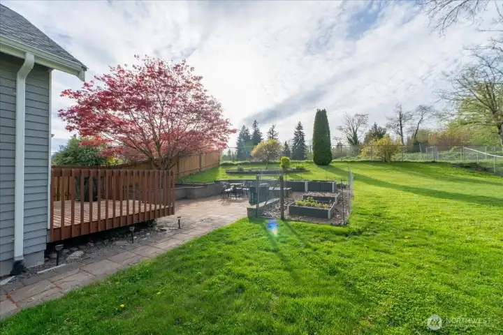 Huge yard and garden boxes.