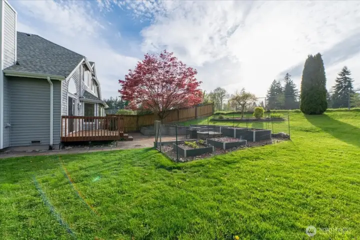 Lives like a signal family home with all of this yard~