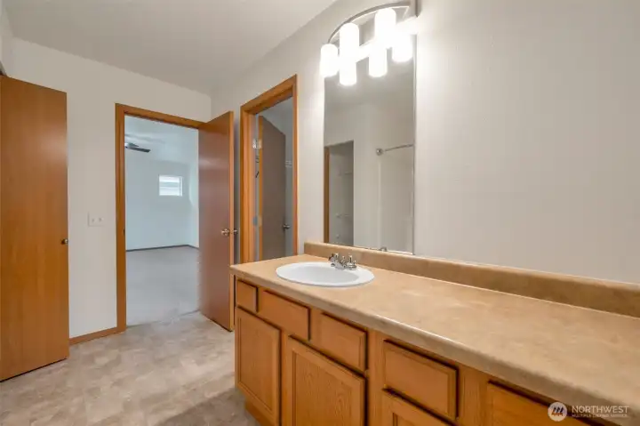 Primary Ensuite features a ton of well lit cab and counter space, a full bath oversized tub/shower,