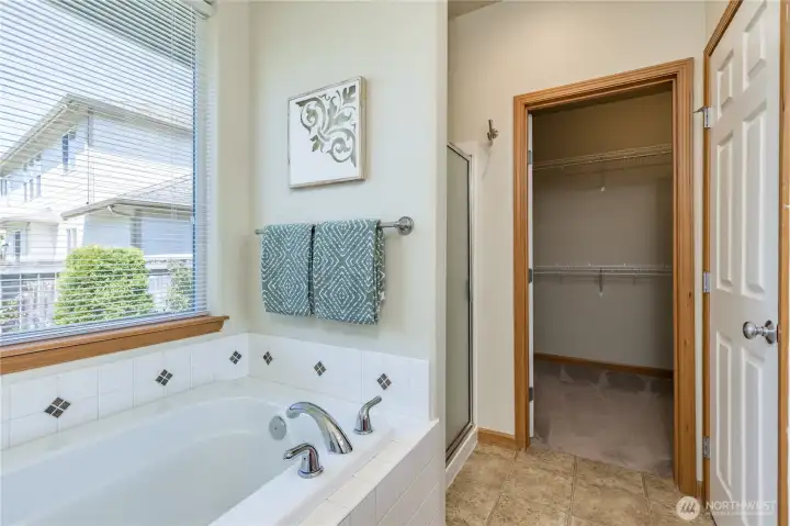 Beautiful soaking tub offers the perfect spot to relax and recharge.